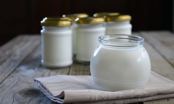 Yogurt fatto in casa