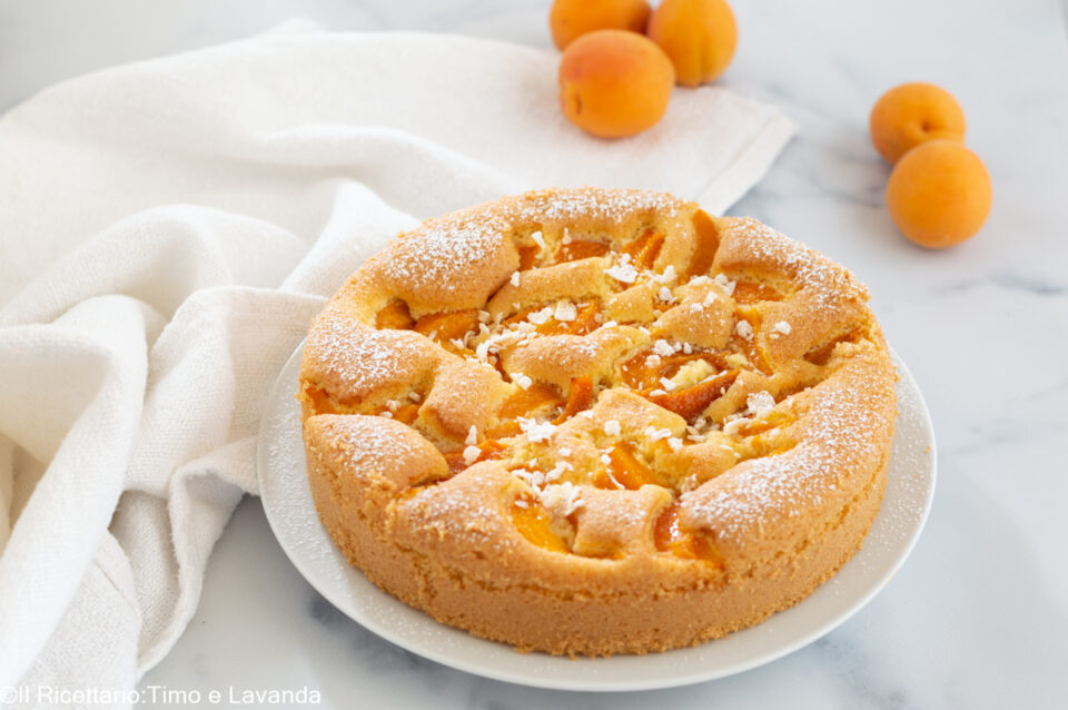 Torta alle albicocche e cocco con farina di riso