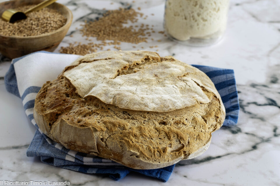 pane di monococco
