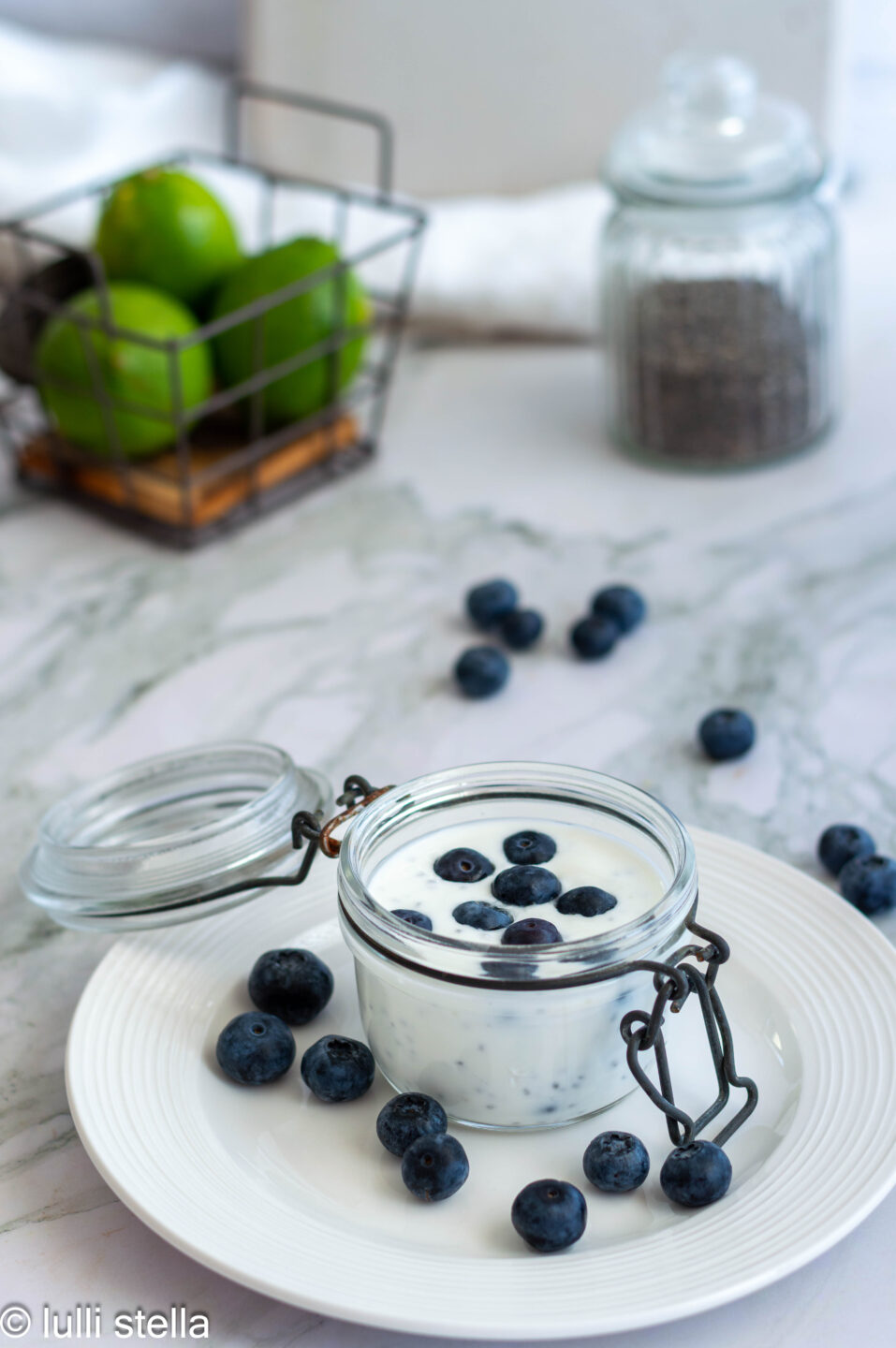 Chia pudding al latte di cocco Paleo low carb con frutti di bosco, ricetta senza glutine e senza lattosio