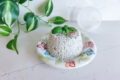RICOTTA DI CANAPA FATTA IN CASA