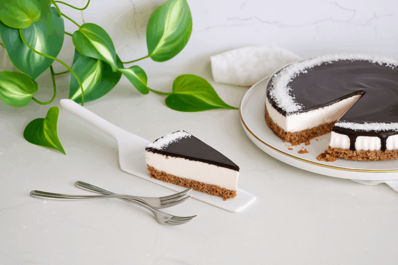 CHEESECAKE COCCO E CIOCCOLATO VEGANA