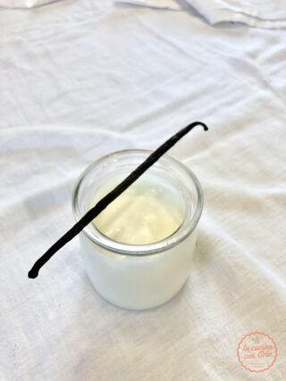 yogurt vaniglia fatto in casa ricetta