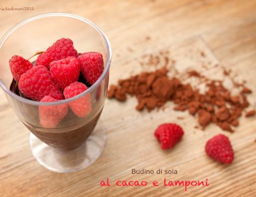 Budino di soia al cacao e lamponi