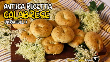 fiori di sambuco iuri e maju ricette