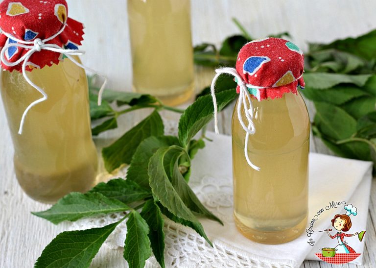 Sciroppo di sambuco ricetta e usi In cucina con Mire