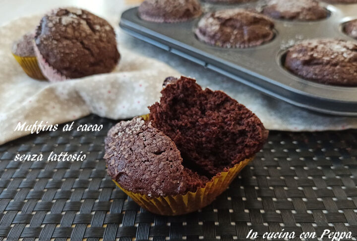 muffins al cacao senza lattosio con bimby