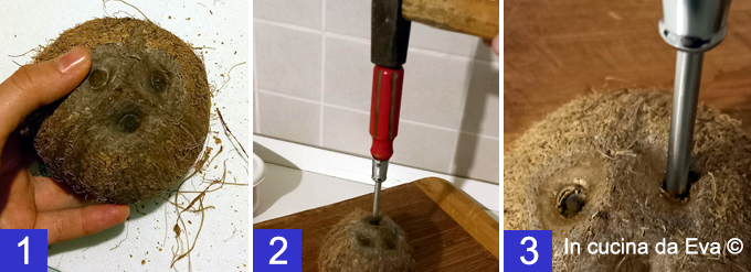 Apertura-noce-di-cocco-1