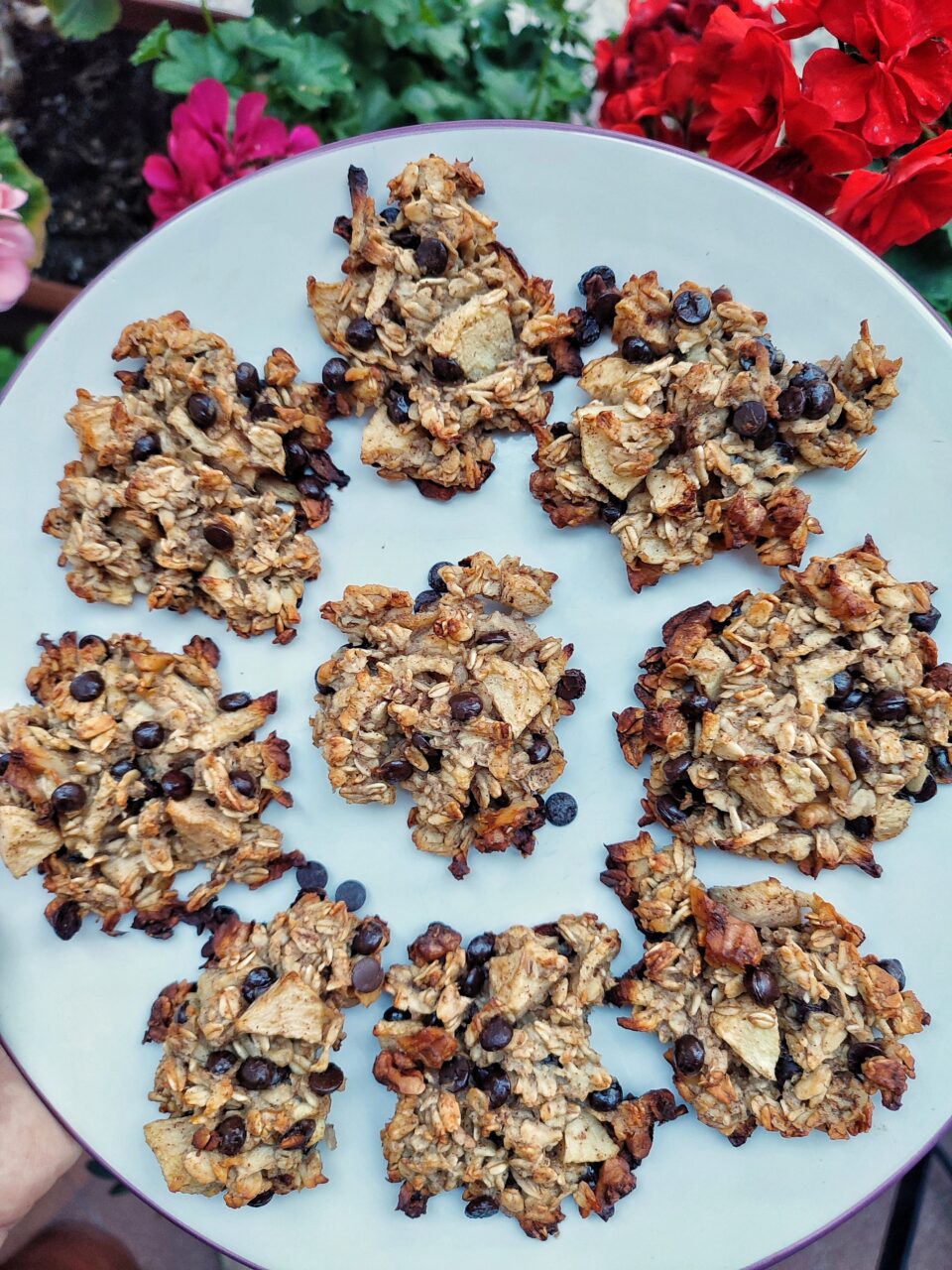 Biscotti morbidi di mele, avena, gocce di cioccolato fondente, cannella e noci