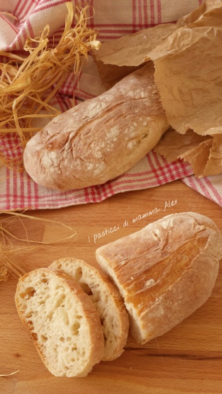 Pane veloce fatto in casa | I pasticci di mamma Alex