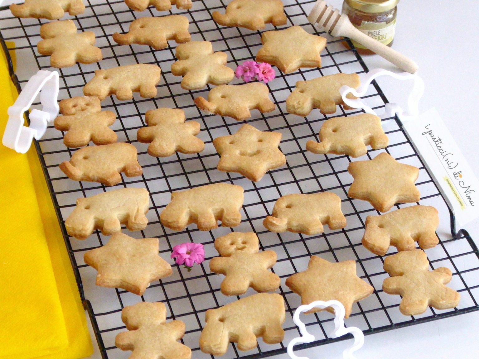 biscotti sani per bambini senza zucchero