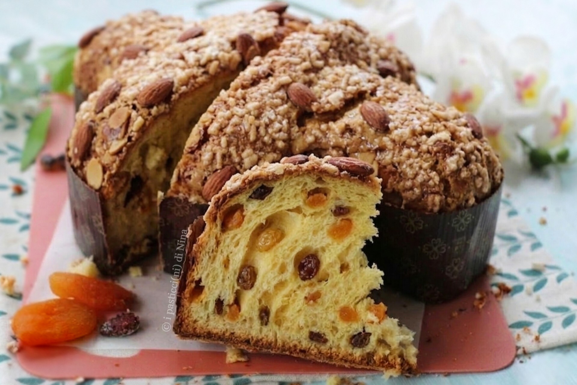 Colomba di Pasqua con albicocche e uvetta ricetta facile con lievito di birra i pasticcini di Nina
