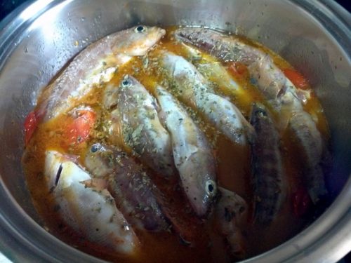 zuppa di pesce con brodo di pesce