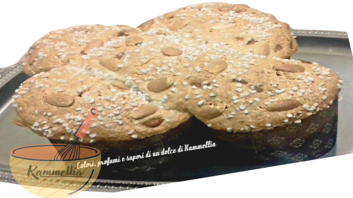 Morbida colomba di pasqua ricoperta di una croccante glassa