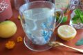 INFUSO ANTI VAMPATE DIURNO