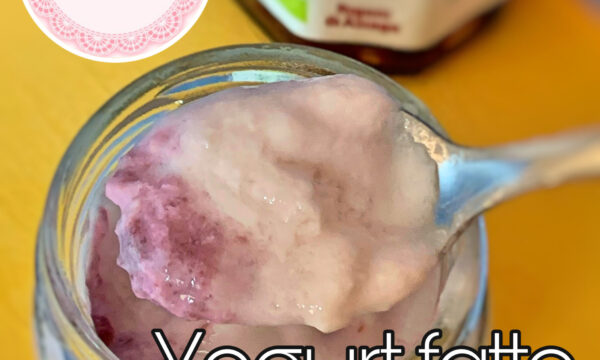 Yogurt fatto in casa | Stile di vita sano