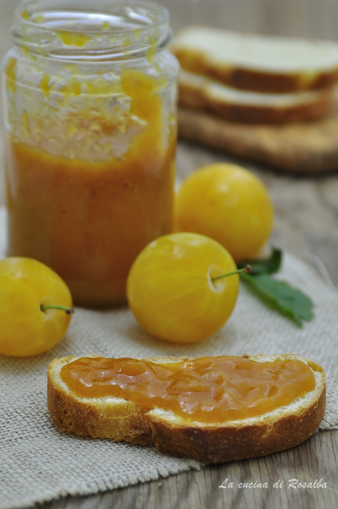 marmellata di susine light