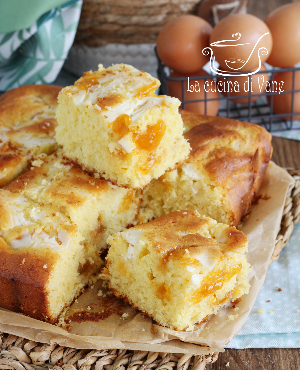 Torta variegata yogurt e marmellata sofficissima ricetta senza dolce burro