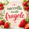 Raccolta ricette con fragole