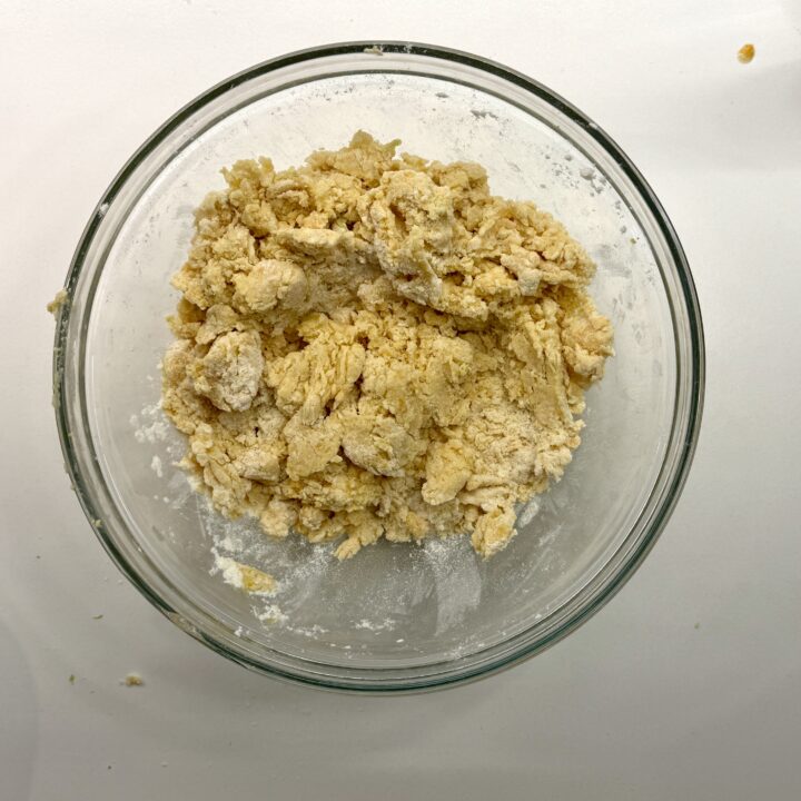 biscotti alla zucca impasto