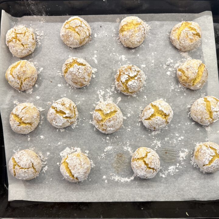 biscotti alla zucca