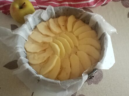 Torta di mele velocissima in 10 minuti -deliziosa