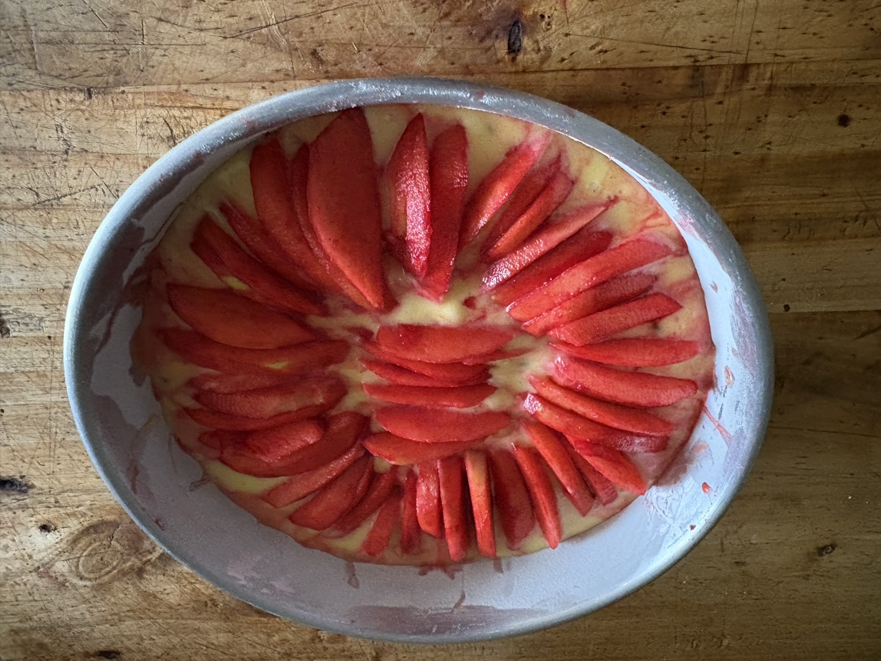 Torta di mele e alchermes con gocce di cioccolato