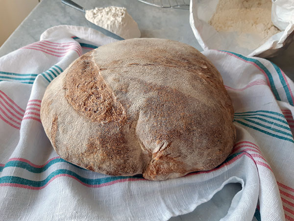 Pane