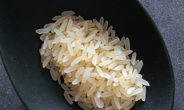 Ricette con il riso