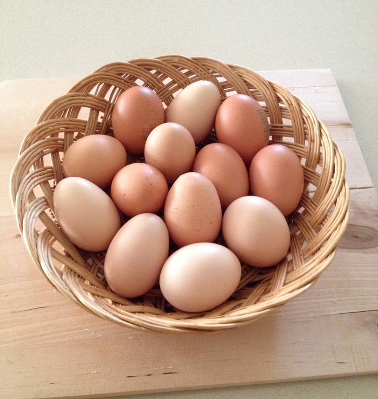congelare le uova
