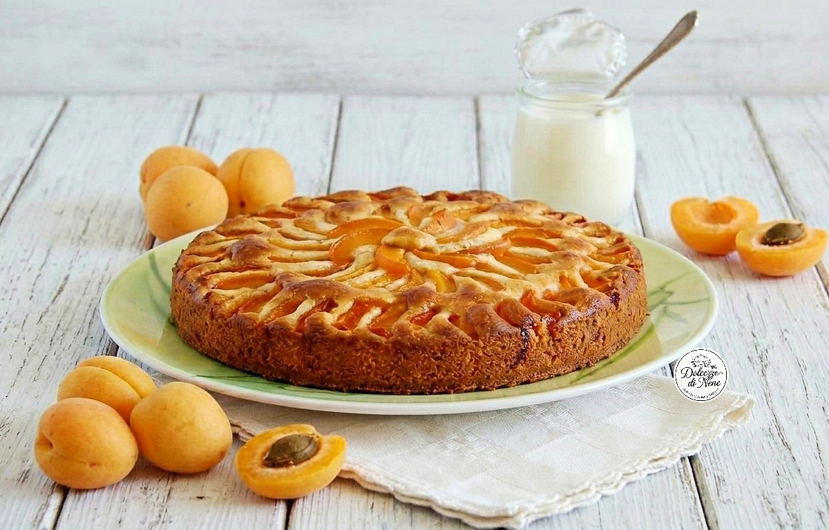 Torta allo yogurt e albicocche