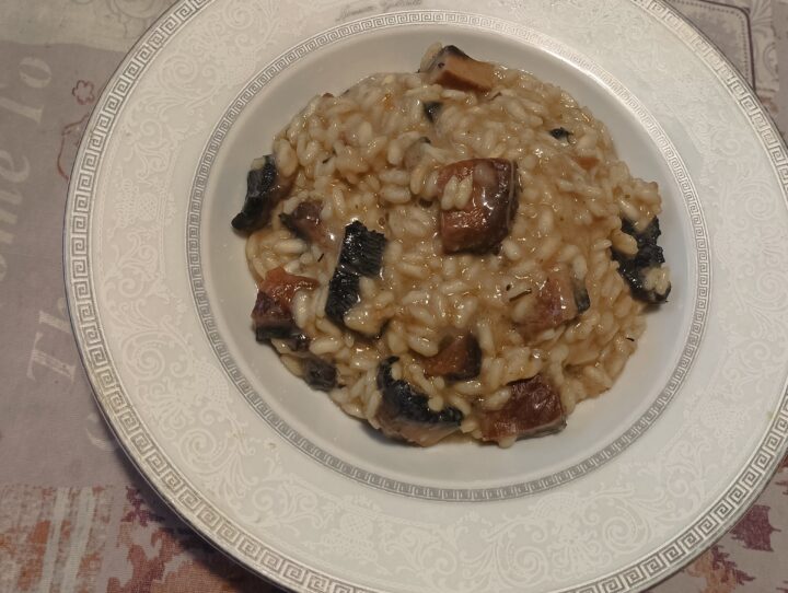 Risotto alla crema di funghi
