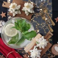 hugo spritz fatto in casa