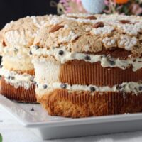 colombamisù il tiramisù per la pasqua