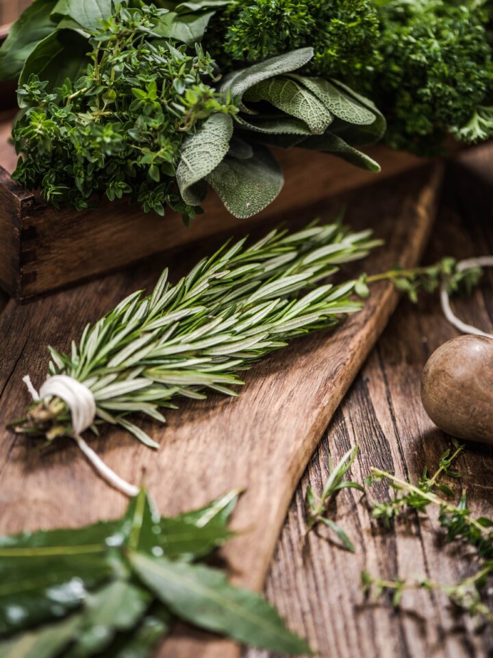 erbe aromatiche-rosmarino