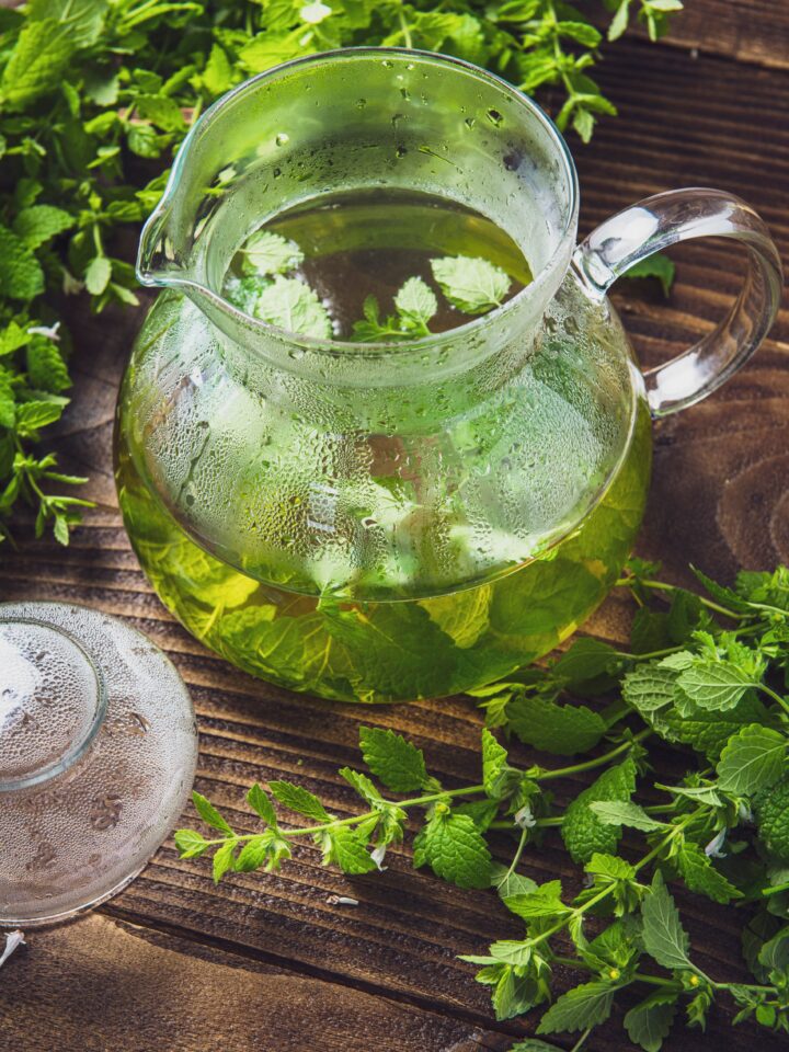 erbe aromatiche-menta