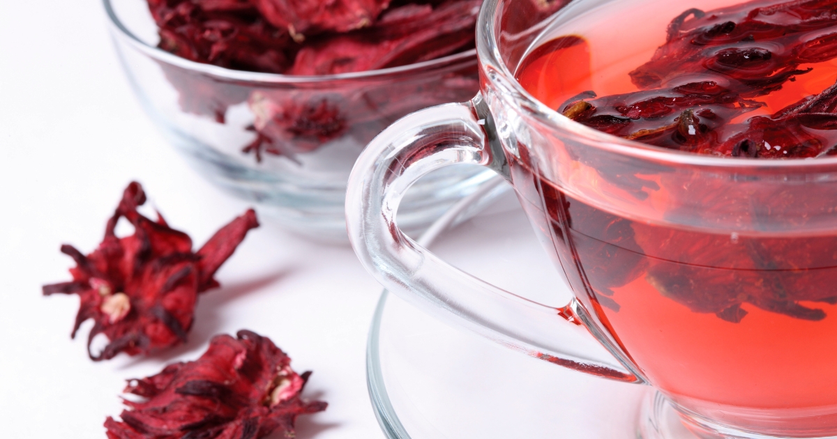 tisane-botaniche-premium