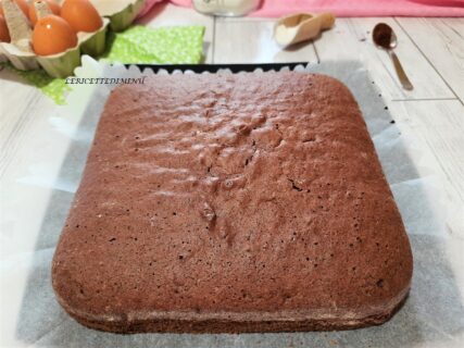 Pan di spagna al cioccolato