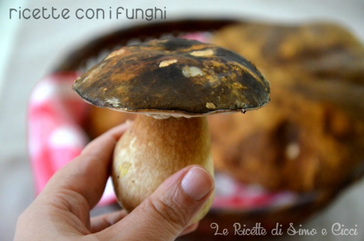 Ricette con i funghi