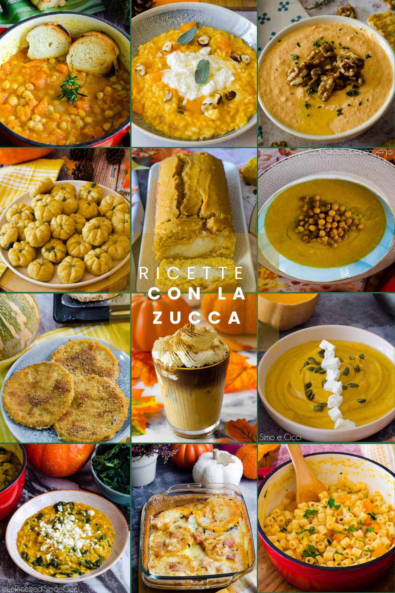 Ricette con la zucca facili e buonissime - Le Ricette di Simo e Cicci