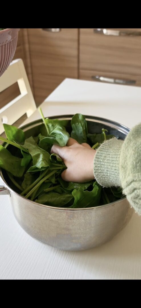 Cuociamo gli spinaci