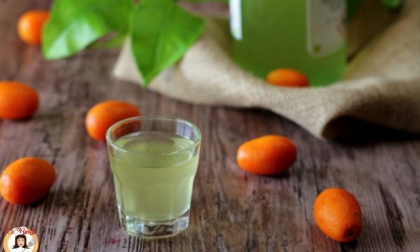 Liquore di Mandarini cinesi – Anche Bimby