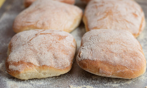 Panini ciabatta