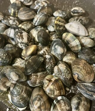 Preparazione spaghetti alle vongole