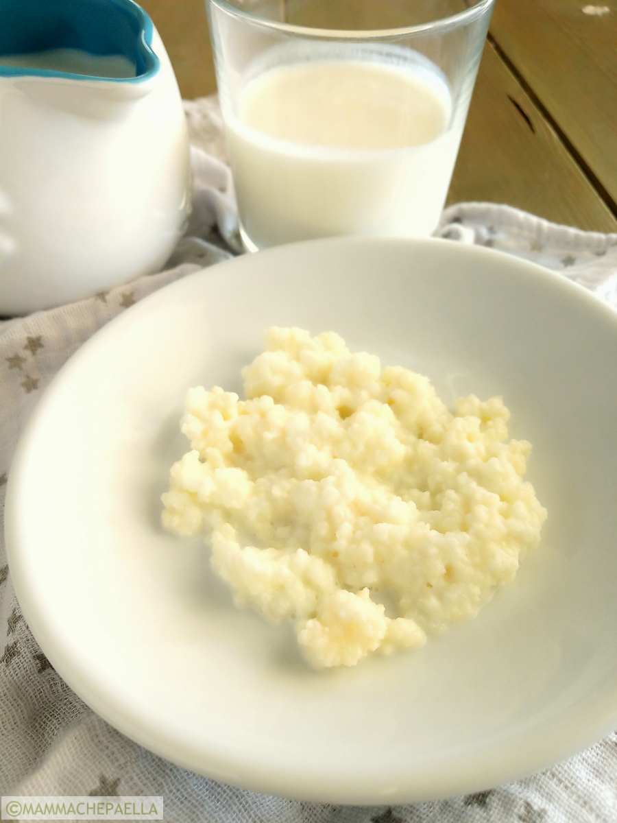 15 grammi di Kefir di latte fermenti per yogurt fatto in casa POSTA1  COMPRESA.