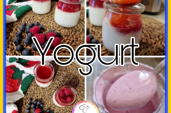 Yogurt (con e senza yogurtiera)