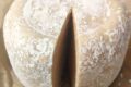 PECORINO VEGANO fermentato