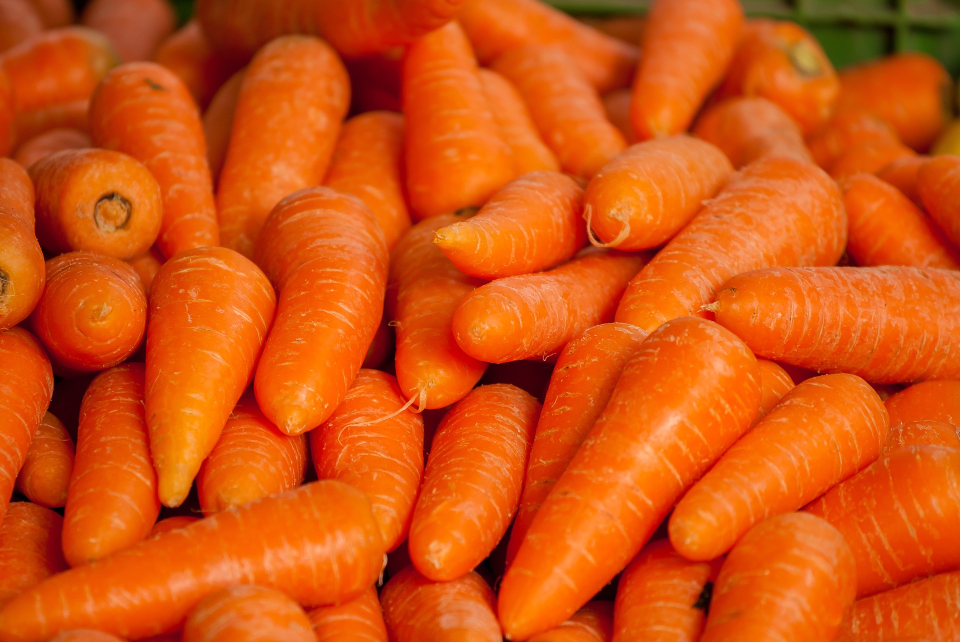 Torta di carote ai pinoli