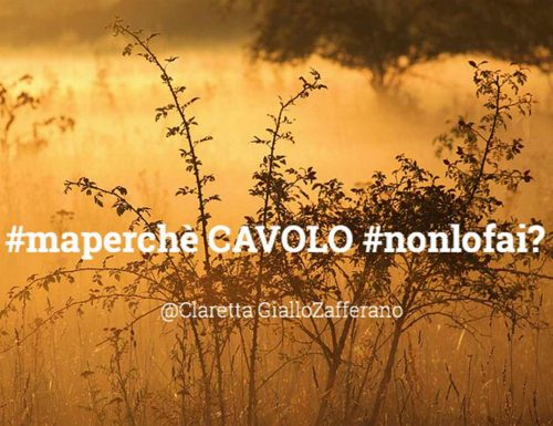 #maperchè CAVOLO #nonlofai ?