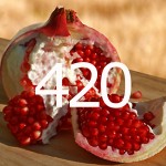 diario di una dieta - Giorno 420